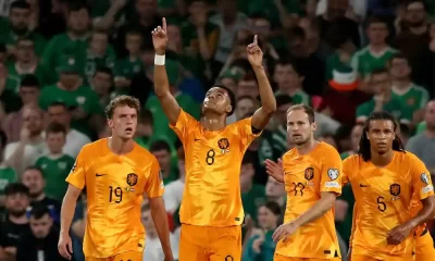 El delantero de Países Bajos Cody Gakpo celebra tras marcar el primer gol de su equipo ante República de Irlanda. Foto: Paul Faith / AFP.